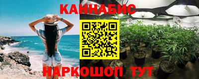 кокс Можга